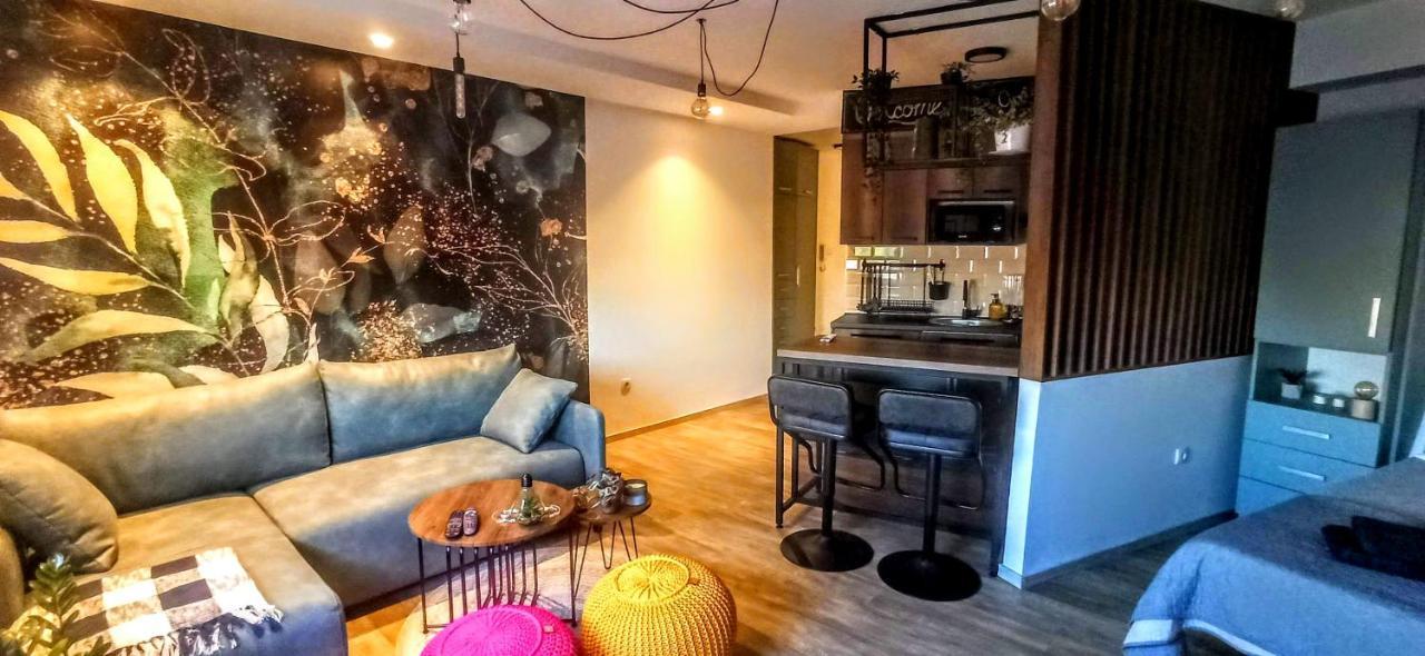 Malac-New Equipped Studio Apartment Within The City Core Novi Sad Eksteriør billede